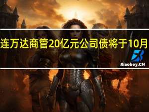 大连万达商管20亿元公司债将于10月9日付息
