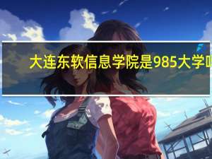 大连东软信息学院是985大学吗