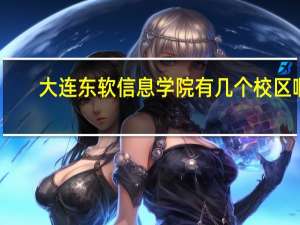 大连东软信息学院有几个校区啊