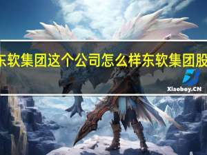 大连东软集团这个公司怎么样 东软集团股份有限公司