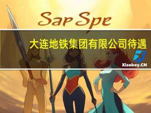 大连地铁集团有限公司待遇（大连地铁集团有限公司简介）