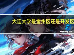 大连大学是金州区还是开发区
