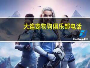 大连宠物狗俱乐部电话