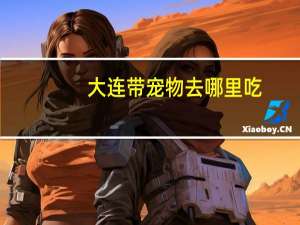 大连带宠物去哪里吃