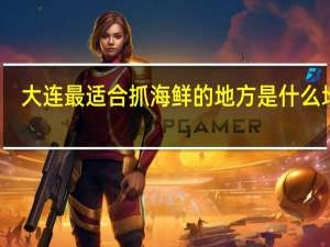 大连最适合抓海鲜的地方是什么地方