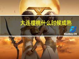 大连樱桃什么时候成熟（樱桃什么时候成熟）