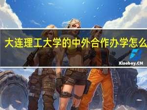 大连理工大学的中外合作办学怎么样啊