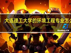 大连理工大学的环境工程专业怎么样