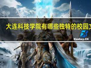 大连科技学院有哪些独特的校园文化