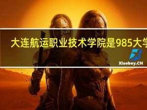 大连航运职业技术学院是985大学吗