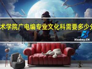 大连艺术学院广电编专业文化科需要多少分才会被录取