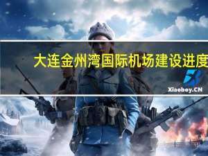 大连金州湾国际机场建设进度（大连金州湾国际机场最新进展）