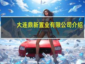 大连鼎新置业有限公司介绍