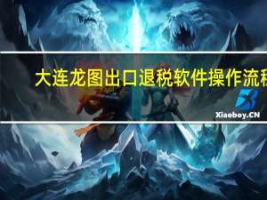 大连龙图出口退税软件操作流程（大连龙图出口退税官网）