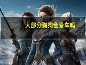 大部分狗狗会晕车吗