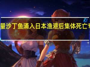 大量沙丁鱼涌入日本渔港后集体死亡专家发声：水的事缺氧 到底什么情况呢