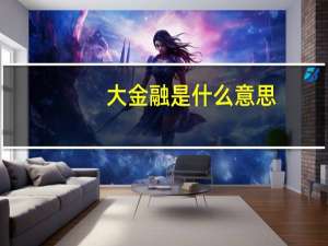 大金融是什么意思