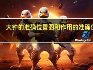 大钟的准确位置图和作用的准确位置（大钟穴的准确位置与作用）