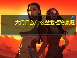 大门口放什么盆栽植物最旺