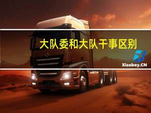 大队委和大队干事区别