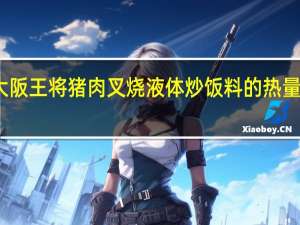 大阪王将 猪肉叉烧液体炒饭料的热量是多少