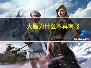 大雁为什么不再南飞