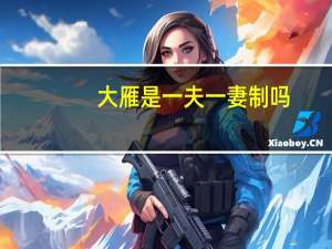 大雁是一夫一妻制吗