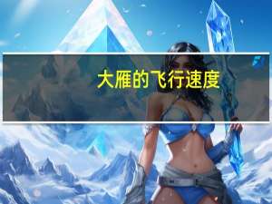 大雁的飞行速度