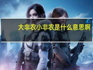 大非农小非农是什么意思啊（大非农小非农是什么意思）