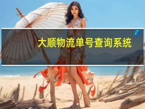 大顺物流单号查询系统（大顺物流单号查询）