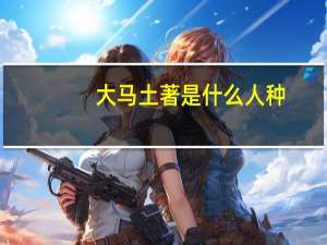 大马土著是什么人种（dmtz是什么图层）