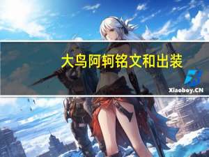 大鸟阿轲铭文和出装（大鸟阿力自射）
