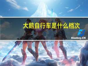 大鹅自行车是什么档次