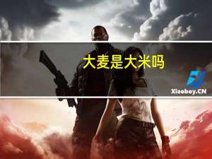 大麦是大米吗