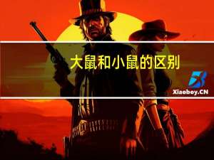 大鼠和小鼠的区别