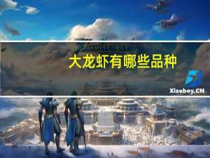 大龙虾有哪些品种
