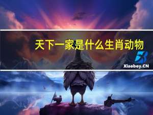 天下一家是什么生肖动物（天下一家是什么生肖）