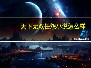 天下无双任怨小说怎么样（天下无双任怨）