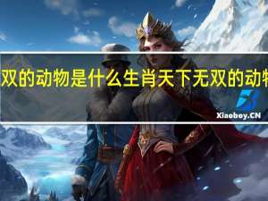 天下无双的动物是什么生肖 天下无双的动物是什么生肖