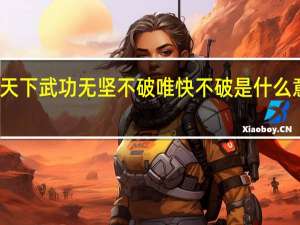 天下武功 无坚不破 唯快不破 是什么意思呀（天下武功 无坚不破 唯快不破 是什么意思）