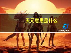 天元意思是什么