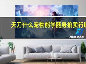 天刀什么宠物能学随身拍卖行啊