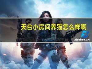 天台小房间养猫怎么样啊