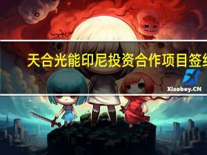 天合光能印尼投资合作项目签约