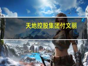 天地控股集团付文丽（付文丽-天地控股有限公司总裁介绍）