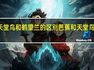天堂鸟和鹤望兰的区别 芭蕉和天堂鸟的区别