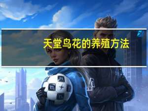 天堂鸟花的养殖方法