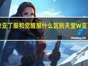 天堂2亚丁服和觉醒服什么区别 天堂W亚丁区怎么样