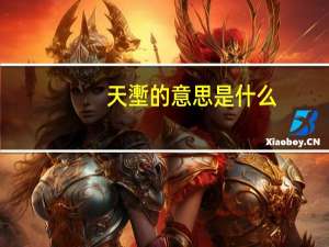 天壍的意思是什么