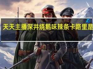 天天主播 深井烧鹅味辣条卡路里是多少
